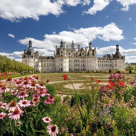 Au Coeur De Blois Apartment Екстериор снимка