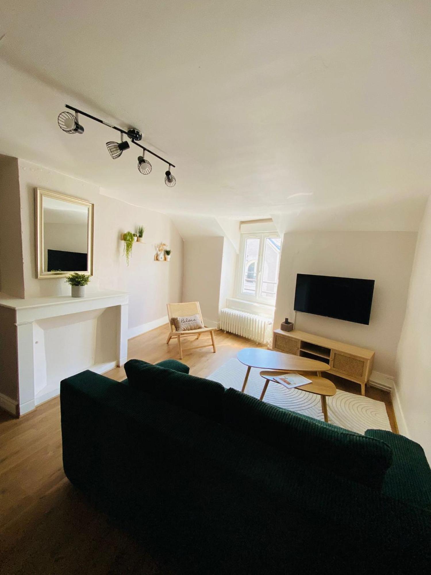 Au Coeur De Blois Apartment Екстериор снимка